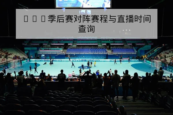 德甲球队伤病名单与球员复出概率表